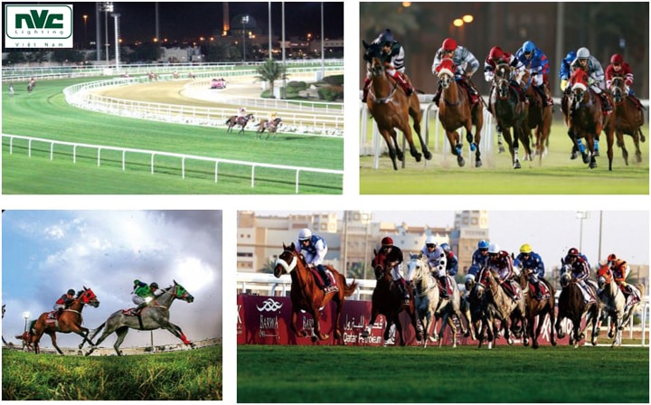 NVC Lighting Trường đua ngựa Qatar